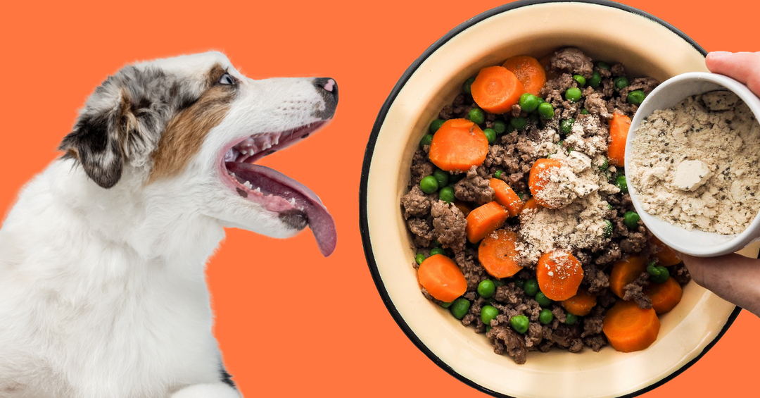 recipe for homemade dog food ingredients carrots vitamins sunflower oil bison