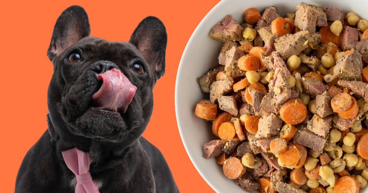 Duck Dog Food: Recipe with Chickpeas and Carrots – Azestfor