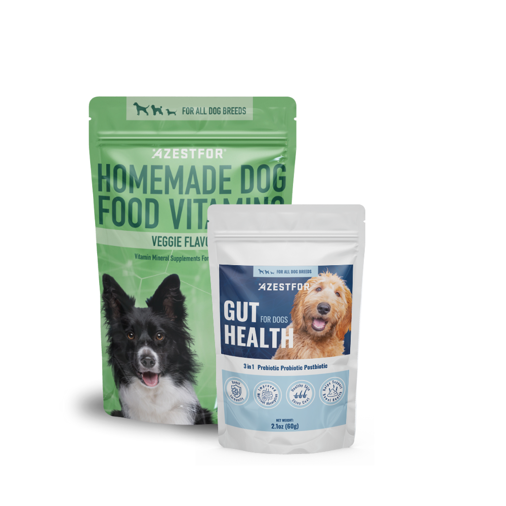 Homemade dog food with all nutrients best sale