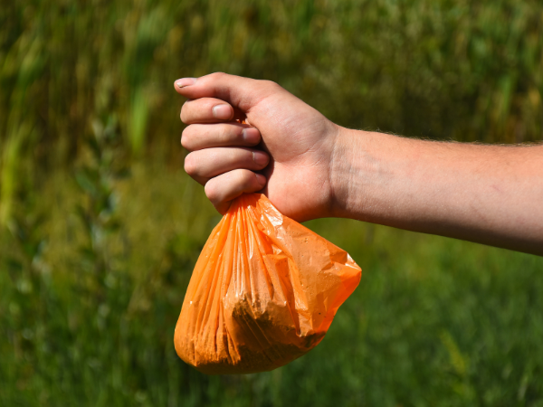 Hand_holding_orange_dog_poop_baggut_health_for_dogs