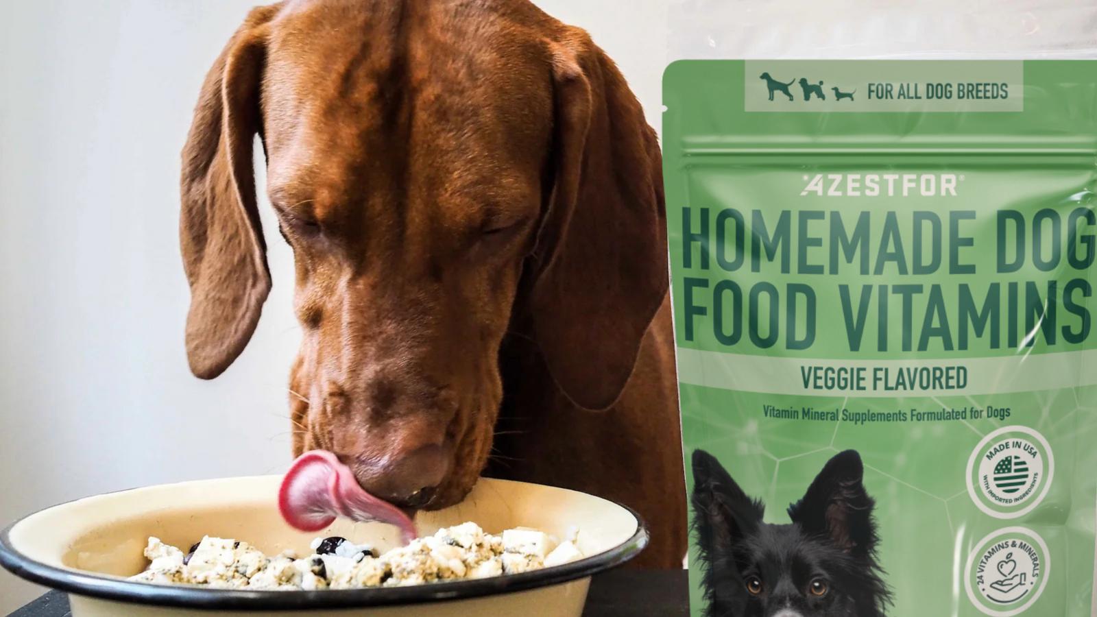 Fresh_vegan_dog_food_Dog_licking_chops