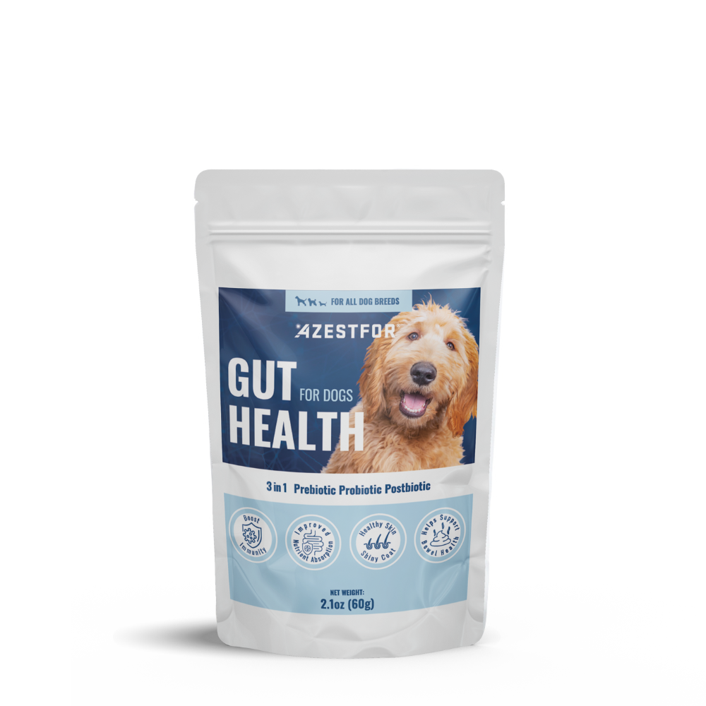Gut Health For Dogs
