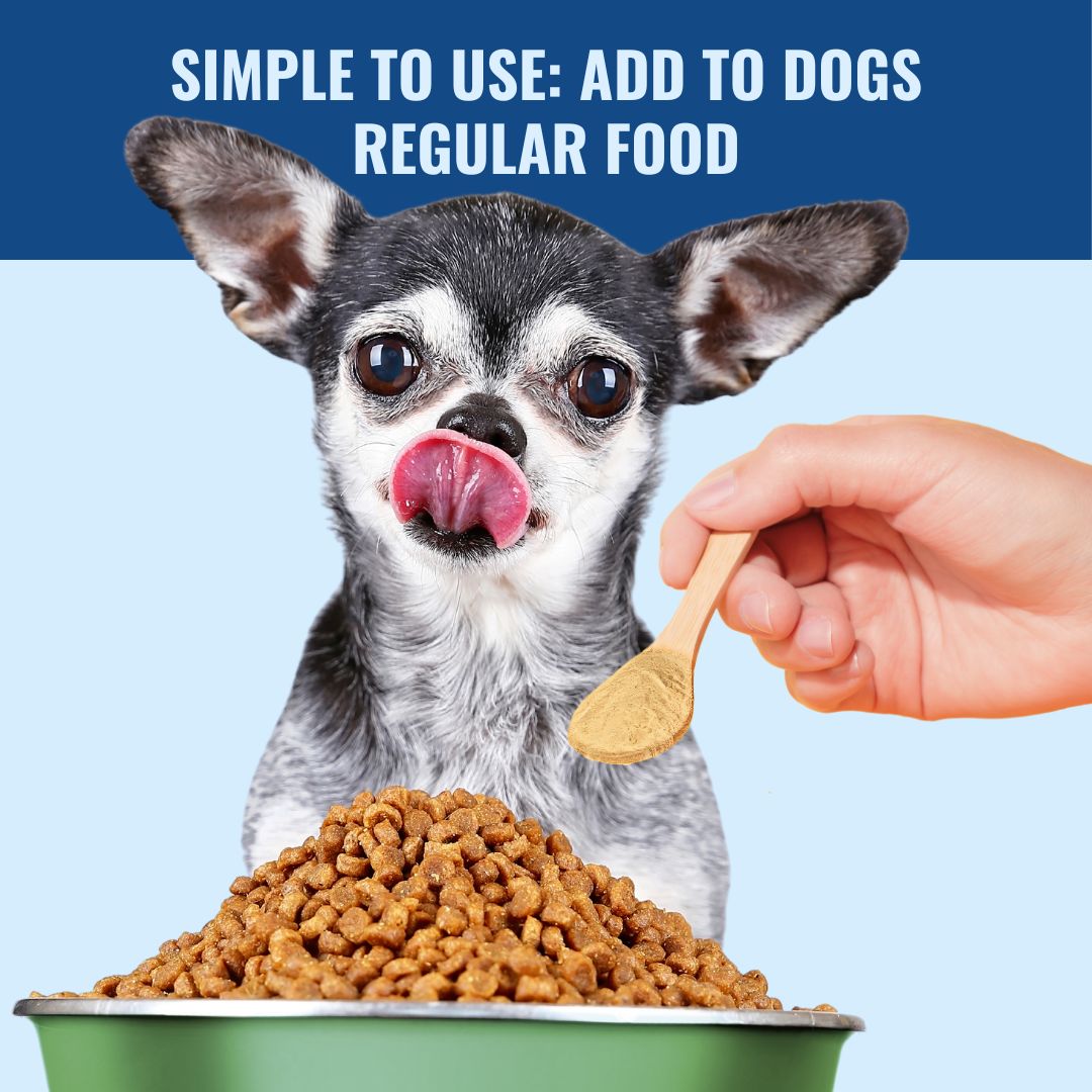 Gut_Health_Powder_Sprinkle_On_Kibble_Dog_Licking_lips