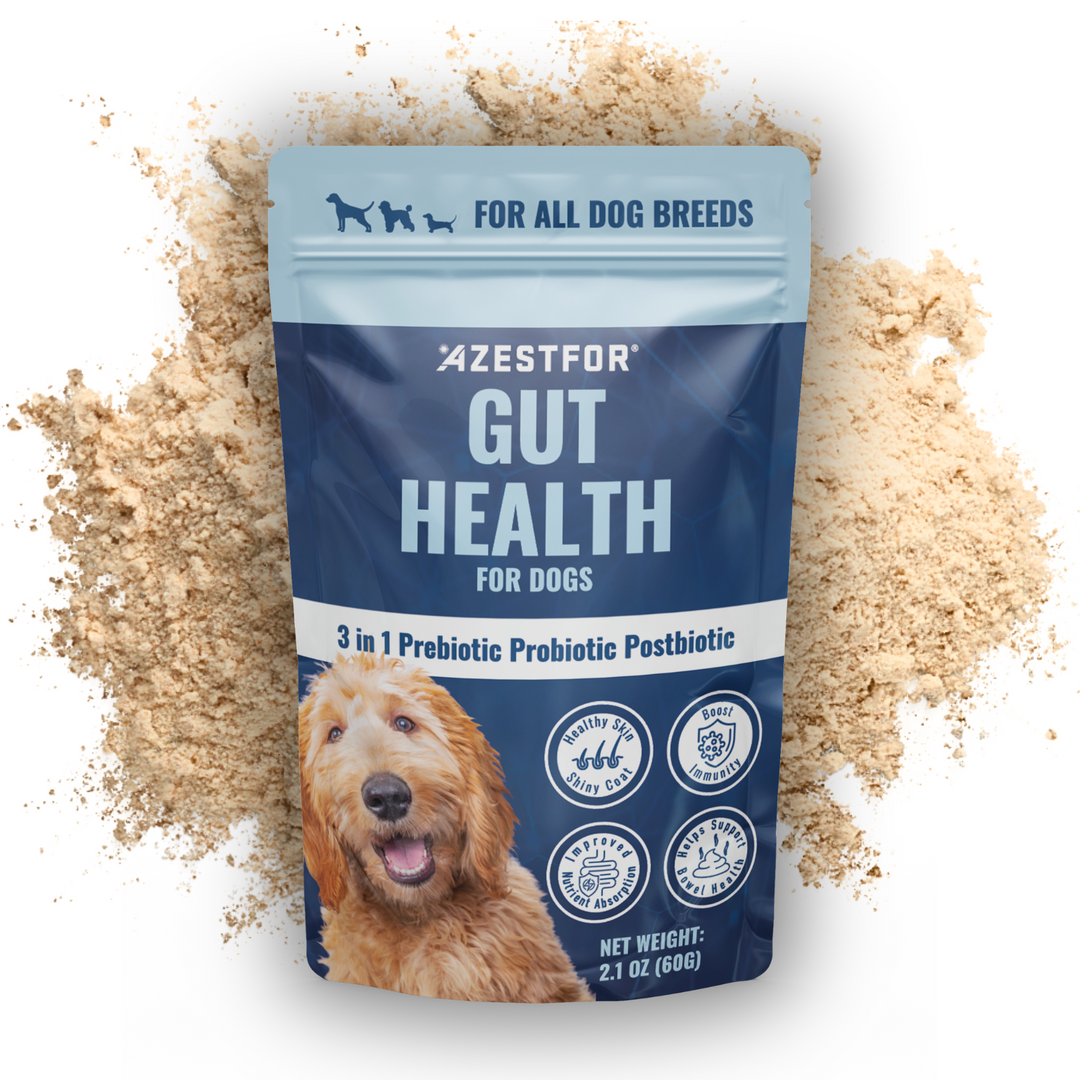 Gut Health For Dogs