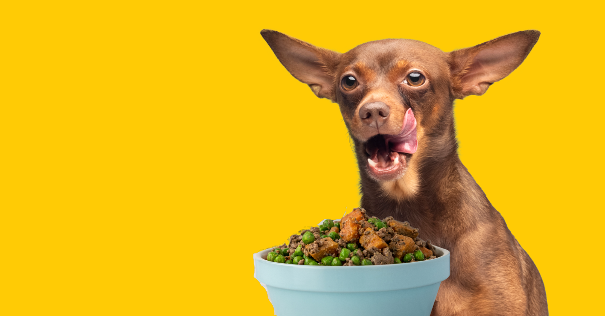 dog_licking_mouth_with_bowl_of_fresh_homemade_dog_food