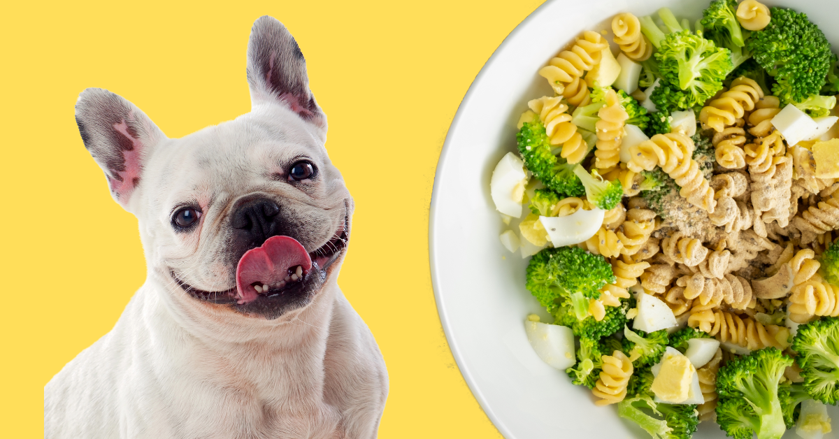 easy-homemade-dog-food-with-eggs_pasta-vegetables_recipe_white_smiling_dog