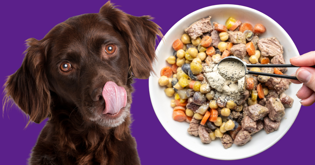 diy dog food ingredients beef chickpeas carrots sunflower oil vitamins