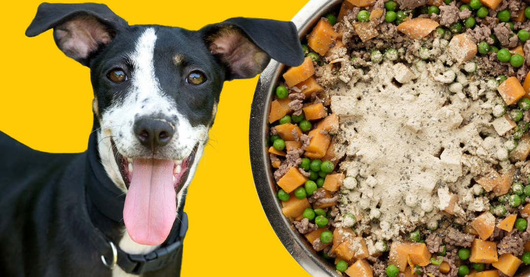 beef sweet potato peas sunflower oil vitamins minerals how to make homemade dog food 