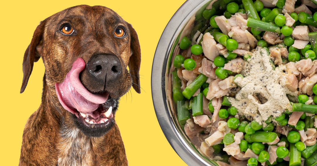cooking for dogs ingredients chicken asparagus peas vitamins vet approved 
