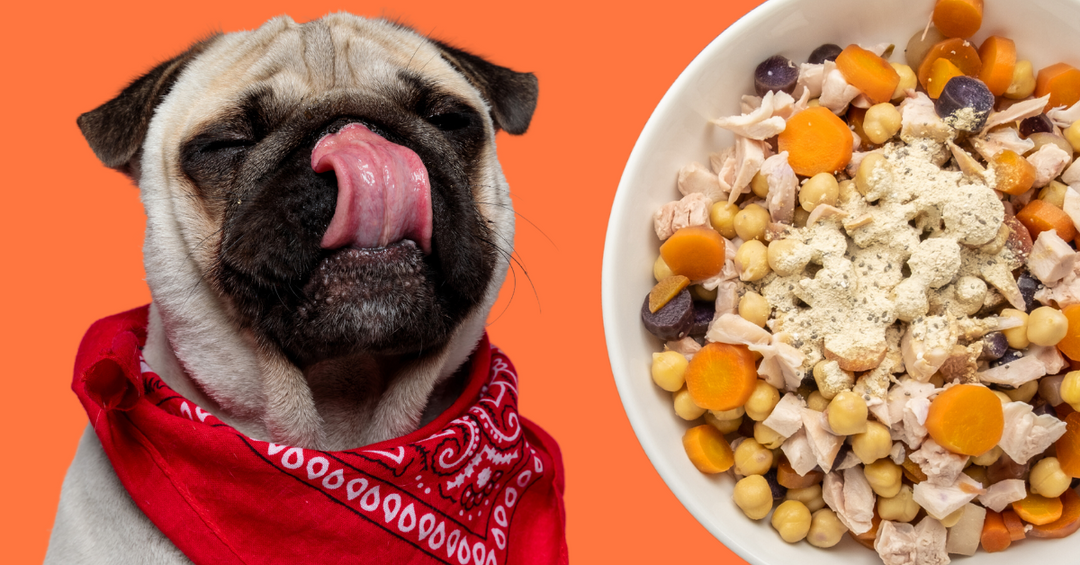 rabbit_chickpeas_carrots_vitamins_minerals_homemade_dog_food_ingredients