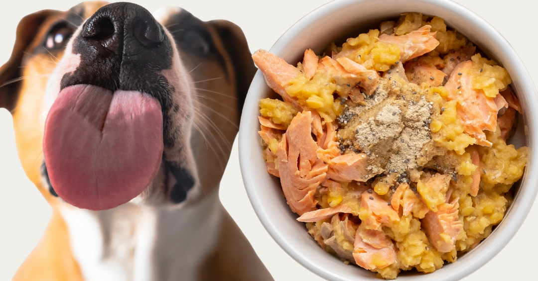 salmon lentils vitamin premix dog food recipe ingredients 