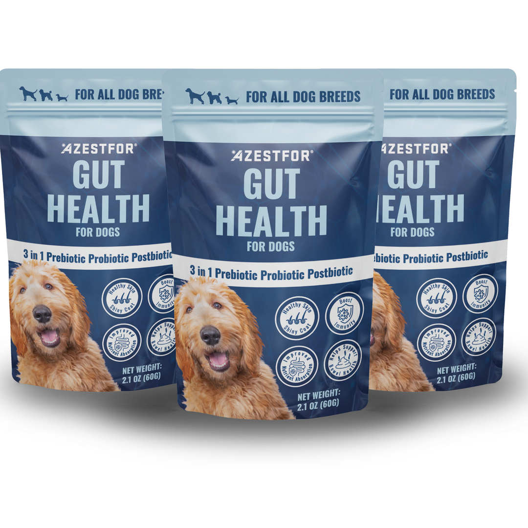 Bundle three packets gut health 