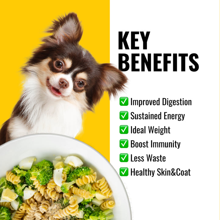 Key_Benefits_Dogs_Fresh_Food_Improved_digestion_Sustained_energy_Ideal_weight_Boost_Immunity_Less_waste_Healthy_Skin_Coat