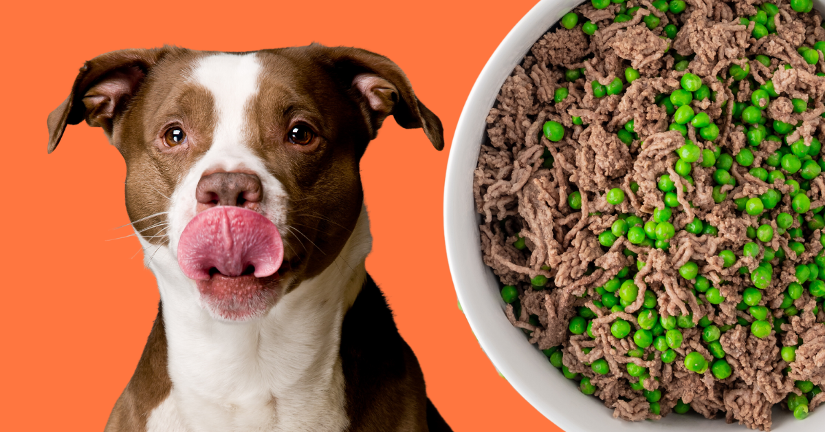 Beef and Pea Dog Food – Azestfor
