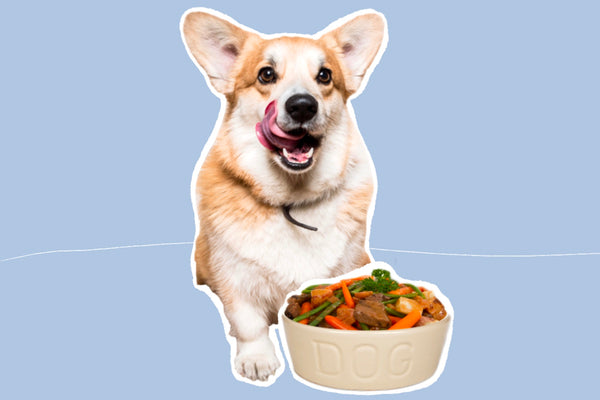 Azestfor Recipes 