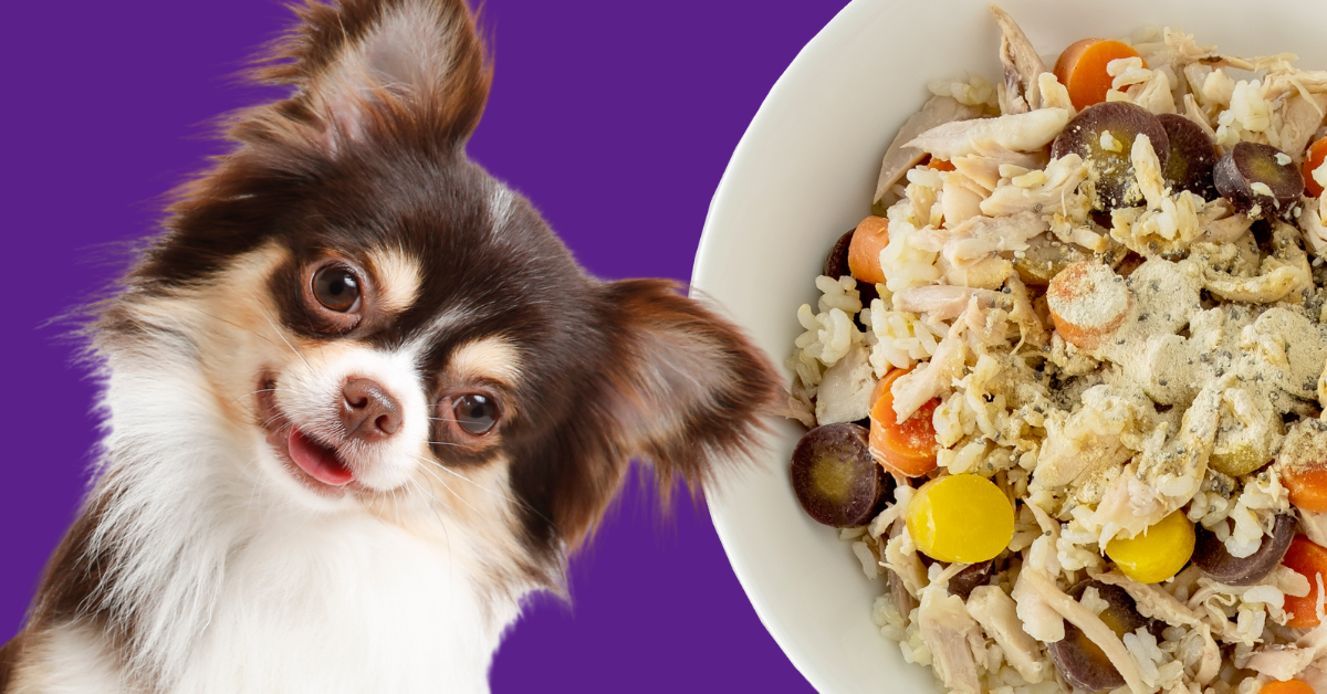 Chicken_Rice_Carrots-2_Dog_Food_Recipe_Healthy_Dog