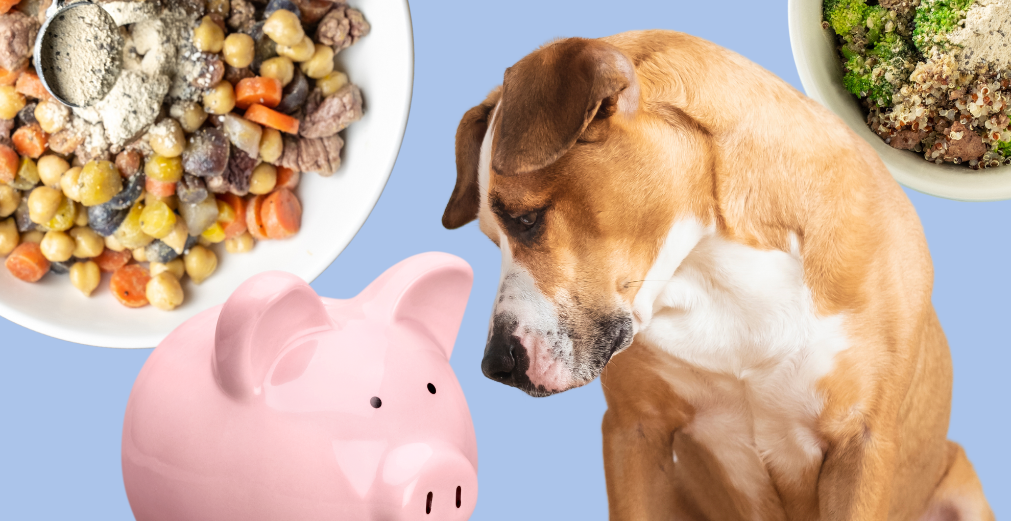 Dog food cost deals