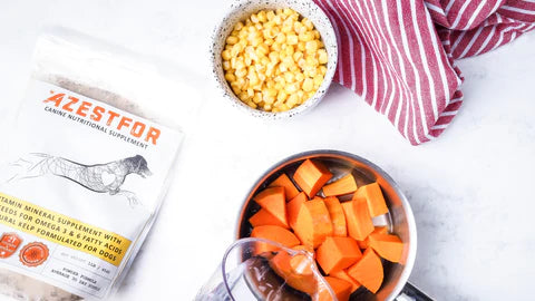 Easy Homemade Dog Food