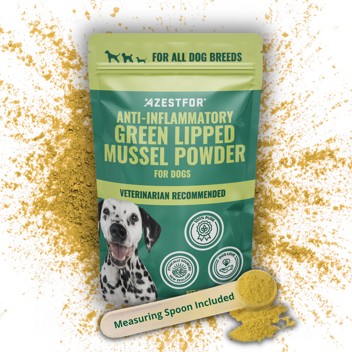 Green_lipped_nussel_powder_Splash_Background_Measuring_Spoon_Included