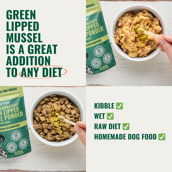 3 Anti-Inflammatory Green Lipped Mussel For Dogs