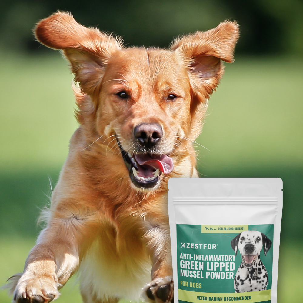 Anti-Inflammatory Green Lipped Mussel For Dogs