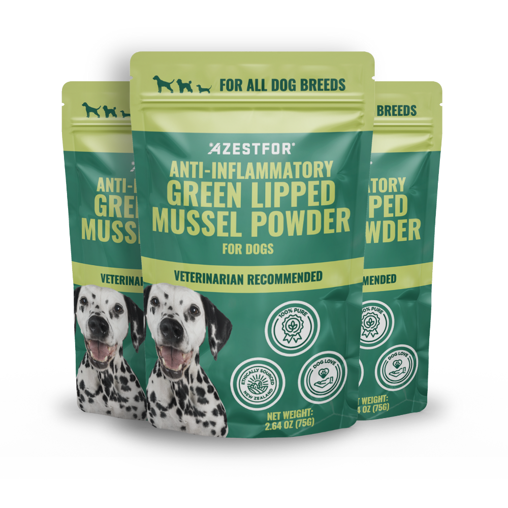 three packets of azestfor Green Lipped mussel for dogs anti-inflammatory powder-natural