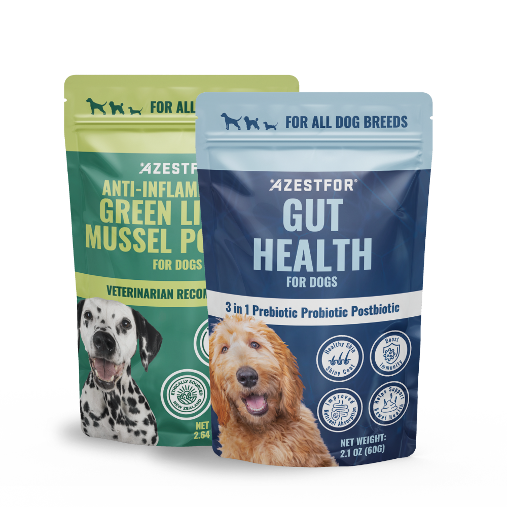 Green_lipped_Mussel_Gut_Health_for_dogs_Bowl_Boosters_two_Packets_Powder_formulations