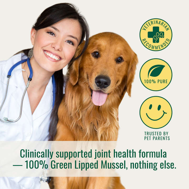 Azestfor_Vet_Recommended_Green_lipped_mussel_powder