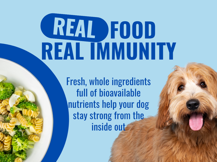 Vitamins For Homemade Dog Food