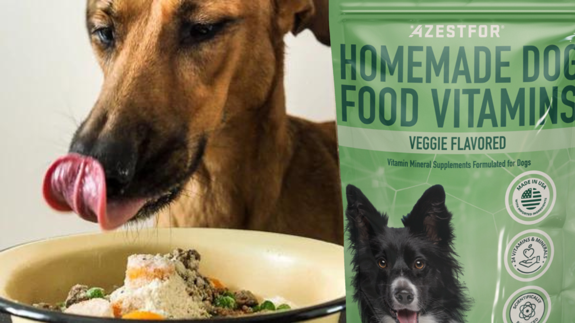 Recipes_HomemadeDog_food_Vitamin_Nutrient_Pre-Mix_Dog_licking_lips