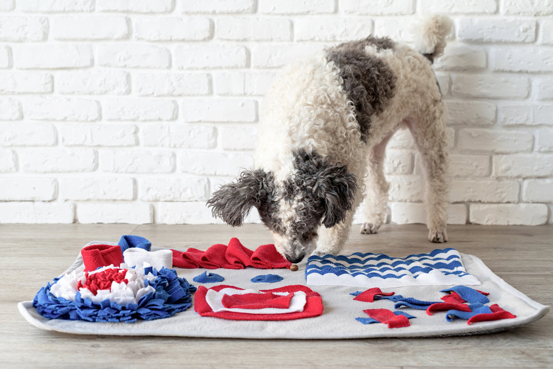 Dog searching for food on snuffle mat