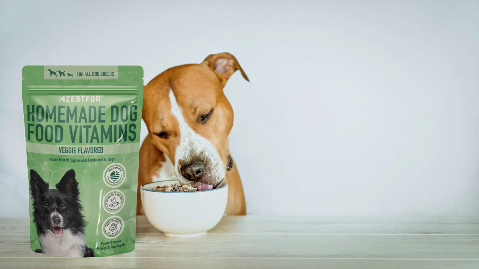 dog_eating_salmon_dog_food_recipe_homemade