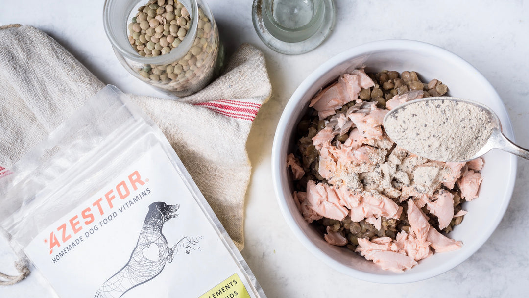 Azestfor recipes Clearance